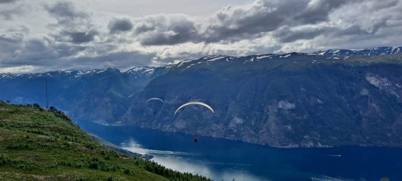 IMG-20220723-WA0004