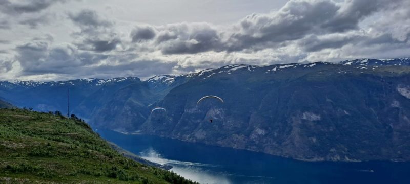 IMG-20220723-WA0005